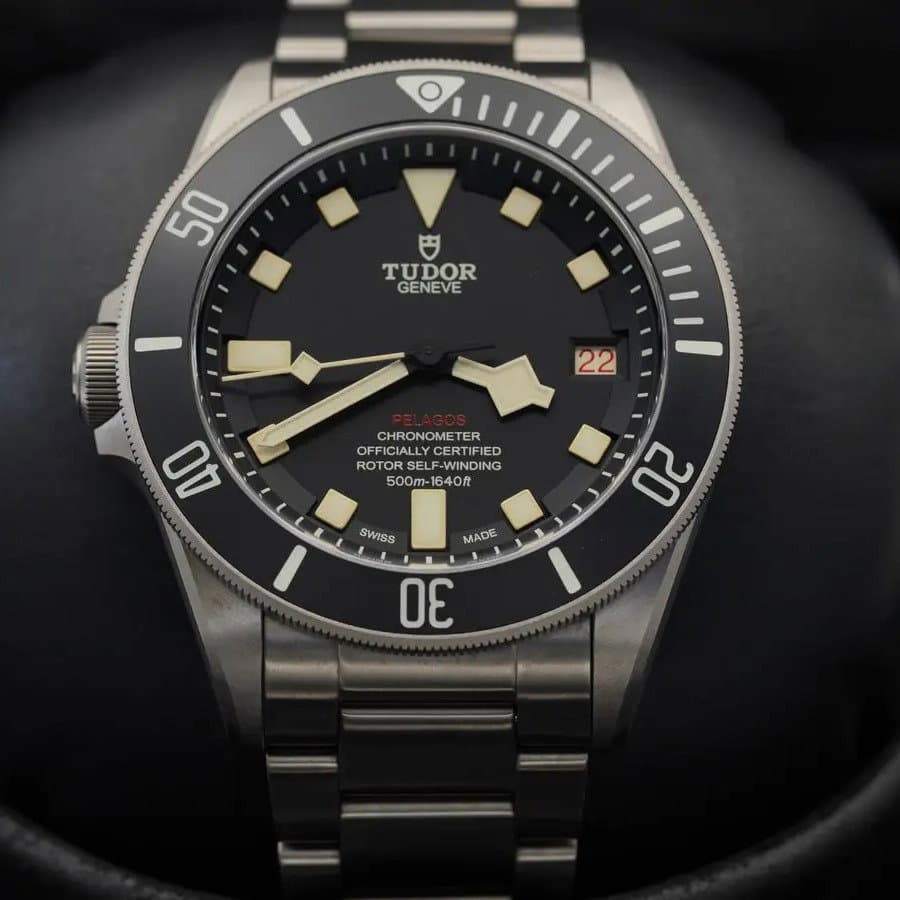 Tudor Pelagos M25610TNL-0001