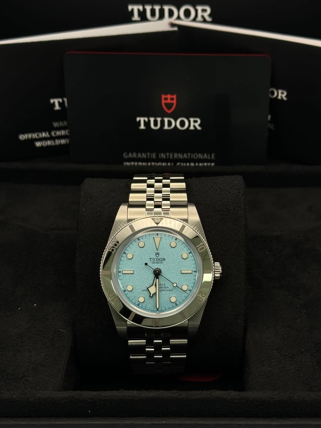 Tudor Black Bay M79000-0001