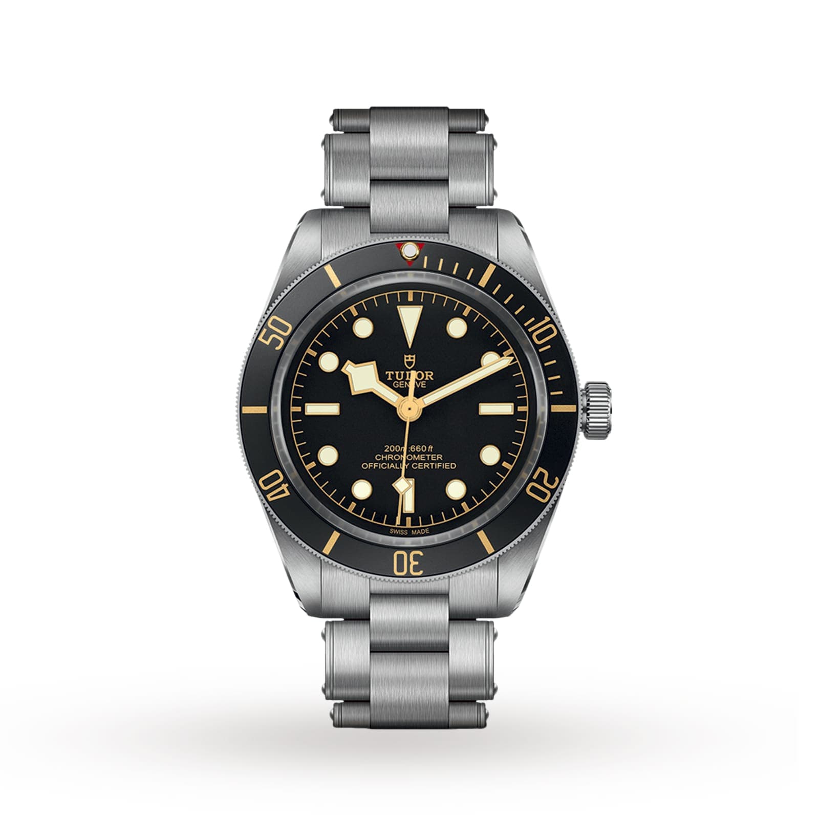 Tudor Black Bay 58 M79030N-0001