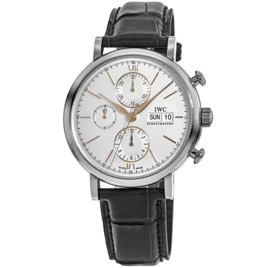 Iwc IW391031