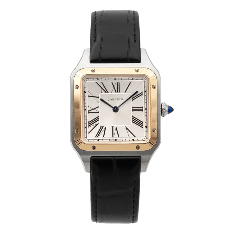 Cartier Santos de Cartier Santos Dumont XL W2SA0011