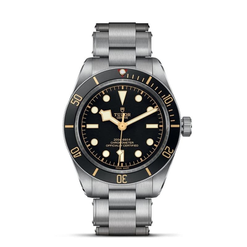 Tudor Black Bay 58 M79030N-0001