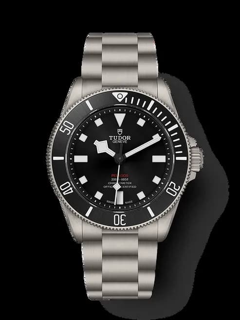 Tudor Pelagos 39 M25407N-0001