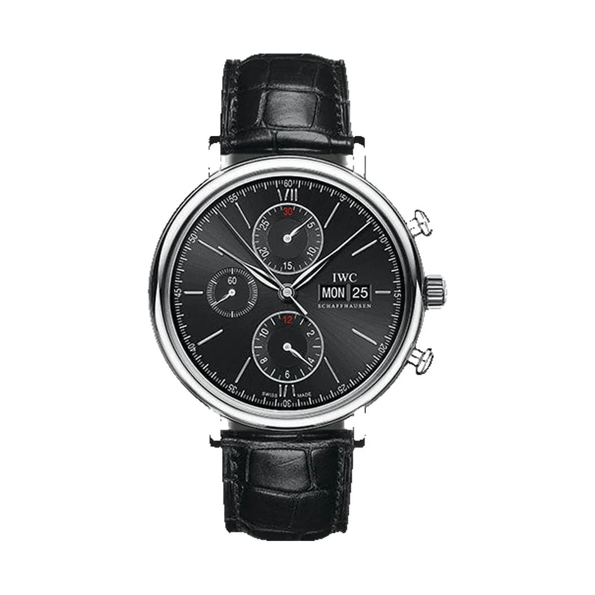 Iwc IW391029