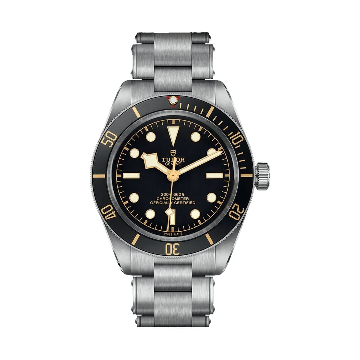 Tudor Black Bay 58 M79030N-0001