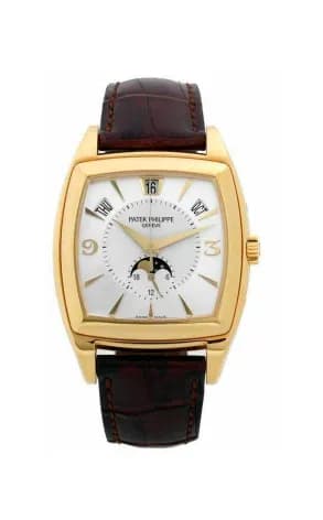 Patek Philippe Complications Complicated 5135J-001
